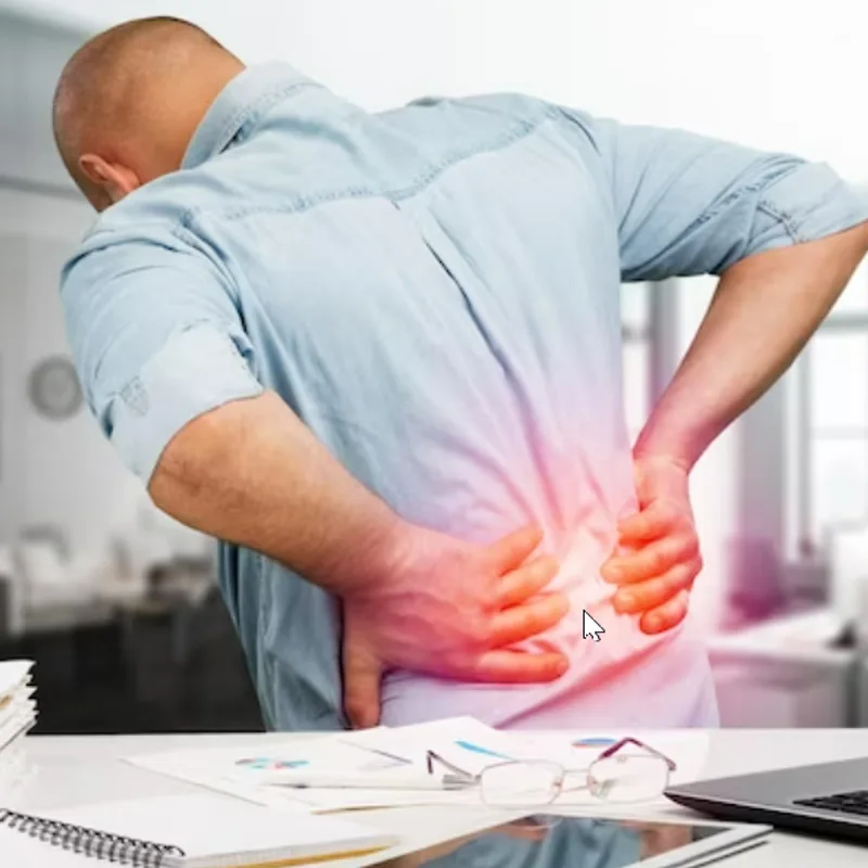 Inside Mountain Creek Chiropractic in Red Bank