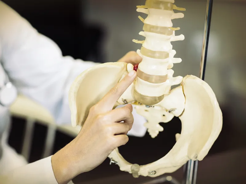 Gonstead Technique at Mountain Creek Chiropractic in Red Bank